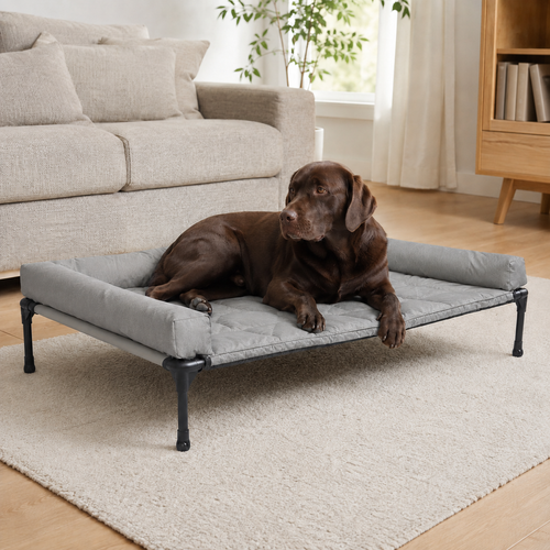 Pawreluna Elevated Outdoor Dog Bed